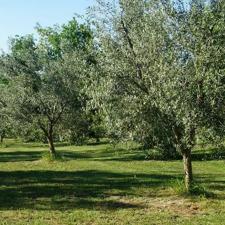 Agriturismo Poggio San Pietro-2